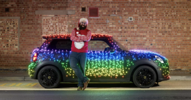 Festive Electric MINI