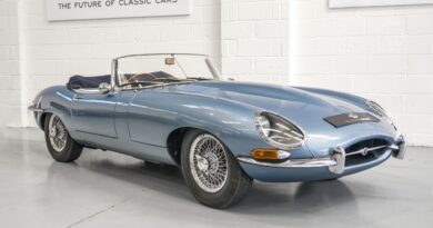 Electrogenic jag E-Type