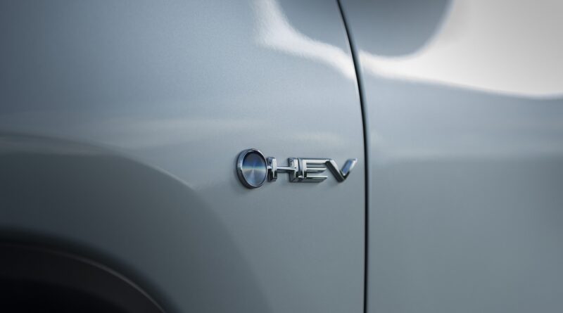 Electric car campaigners are calling on the advertising watchdog to crack down on the “alphabet soup” of terms used to describe electrified vehicles.