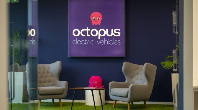 Octopus-energy-logo-intelligent-drive-pack