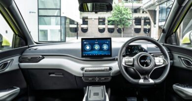 byd oplhin surf interior