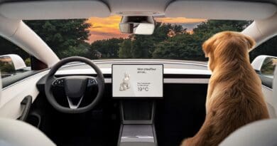 Tesla-Model-3-indicator-stalks-dog-mode