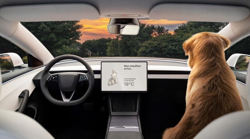 Tesla-Model-3-indicator-stalks-dog-mode