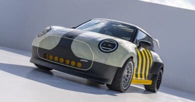 Mini-JCW-Skeg