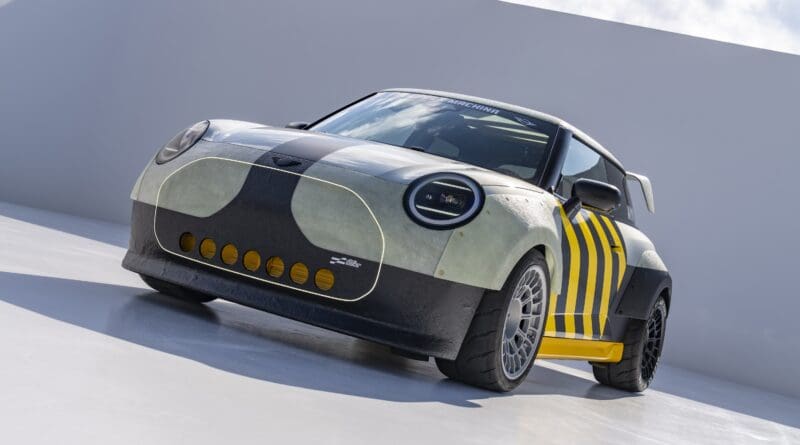 Mini-JCW-Skeg