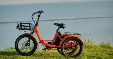 For many adults facing mobility challenges, the world can feel like it’s shrinking. The simple joy of a trip to the park, a visit to a local farmer's market, or even a brisk ride around the neighborhood can become a logistical hurdle.